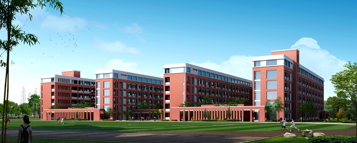 合肥市十大高中排行榜,合肥市十大高中排名