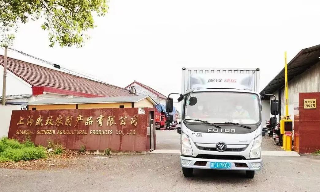 上海疫情为何严峻,上海疫情负重前行