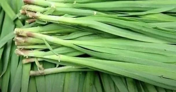 男人大补食材大全及功效,男人应该吃哪些食物大补