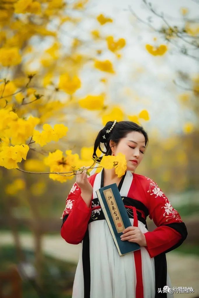 花仙子风铃,风铃花仙子