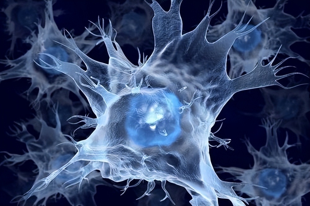 人类有能力复活恐龙吗,人类拥有自愈能力吗