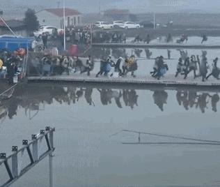 开心一刻｜有人接单吗？接一下我的孤单