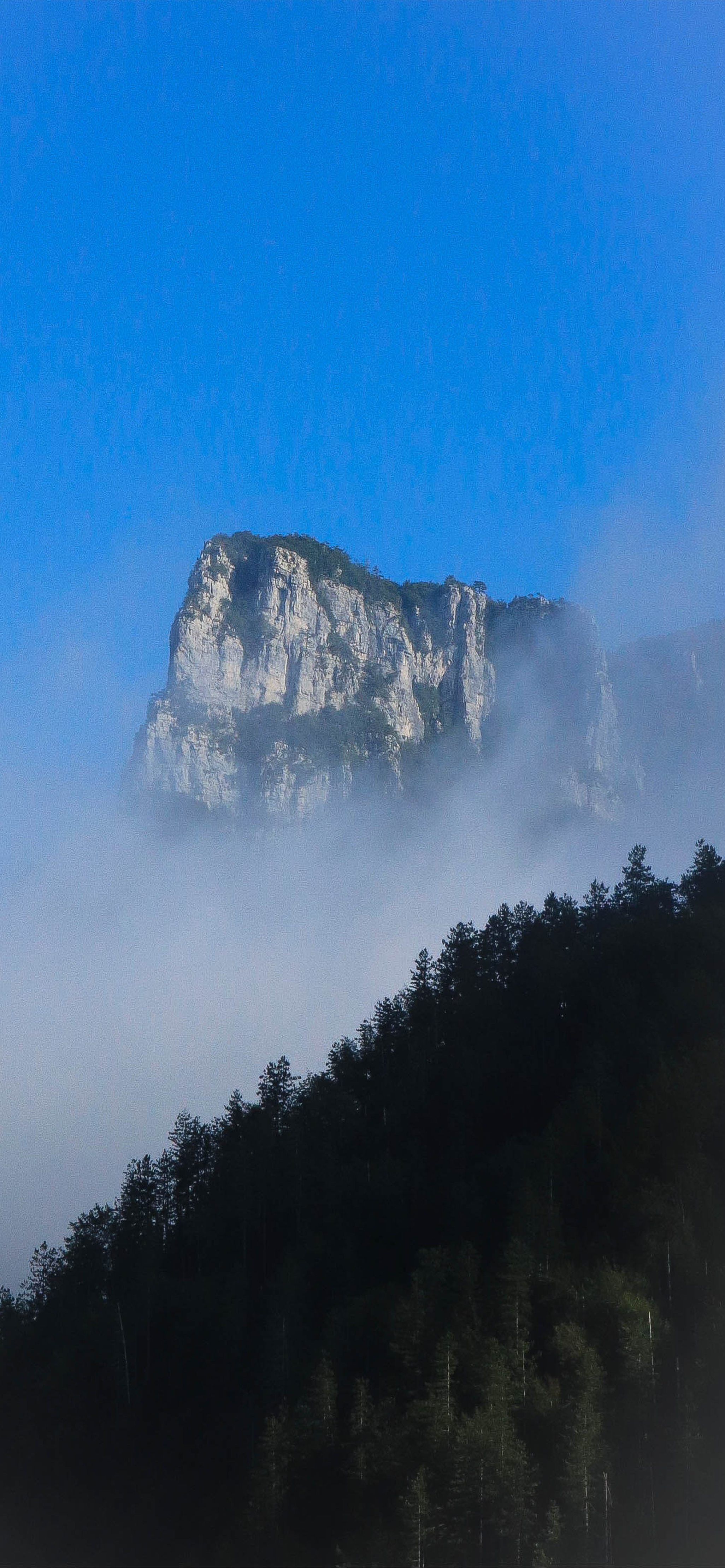 iphone13promax手机壁纸,iphone13promax壁纸4k全面屏