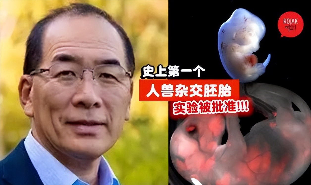 人兽真能杂交？日本批准“人兽杂交胚胎实验”，是灾难还是福音？