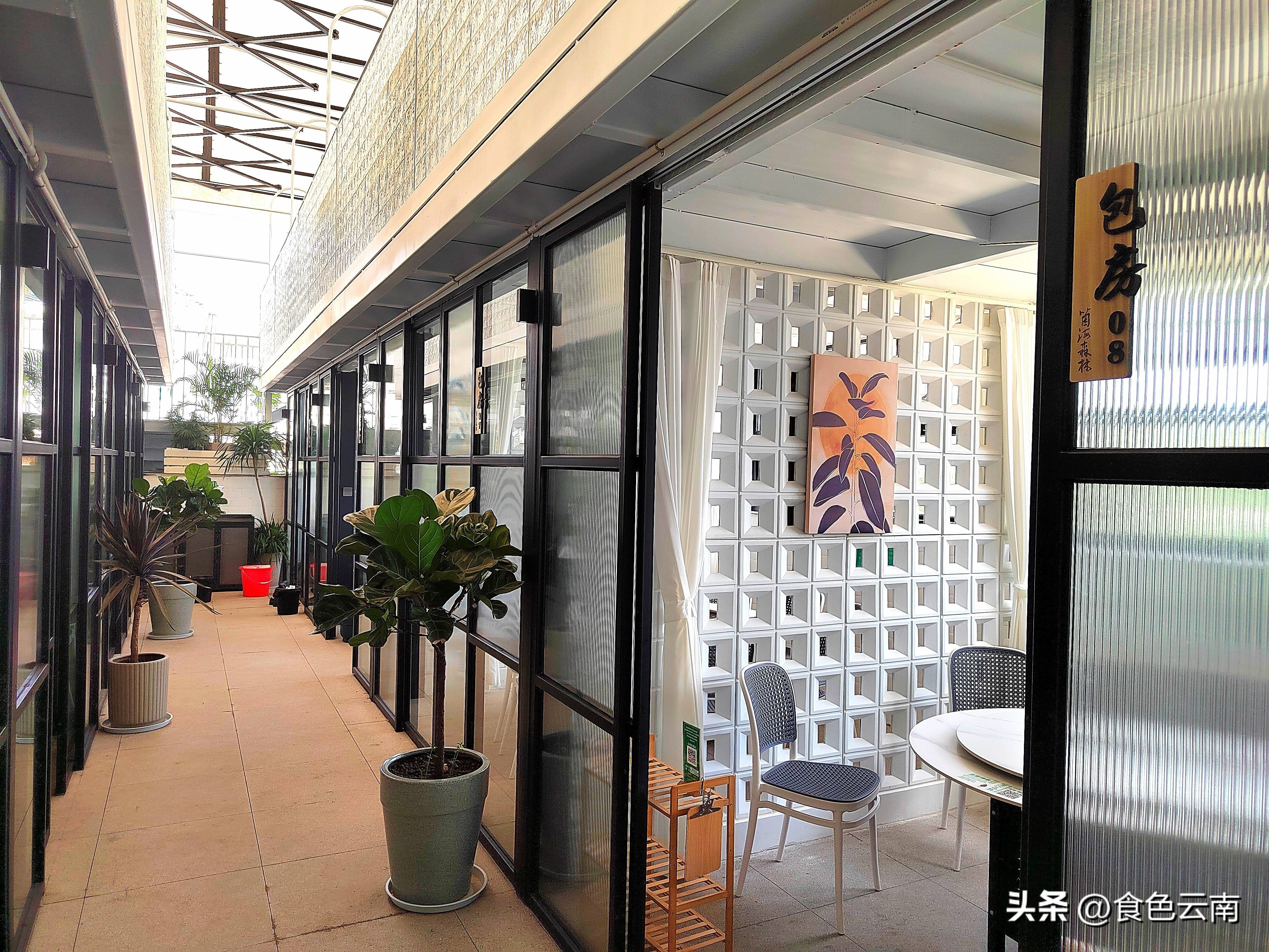 菌海森林野生菌火锅西双版纳,西双版纳野生菌推荐