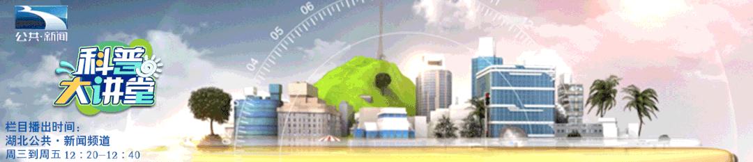 全球有30%因肥胖而死亡,全球每年280万人因肥胖死亡