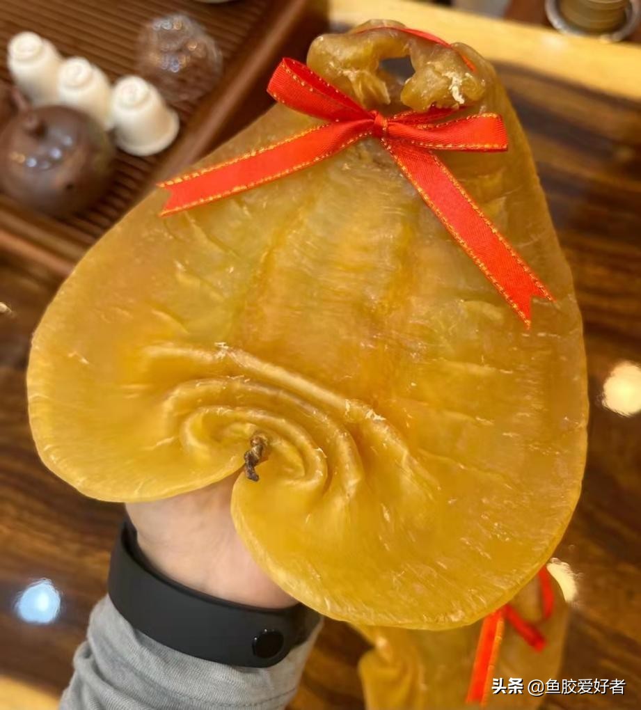 鱼胶养殖好还是野生的好,养殖的鱼胶没什么效果吗