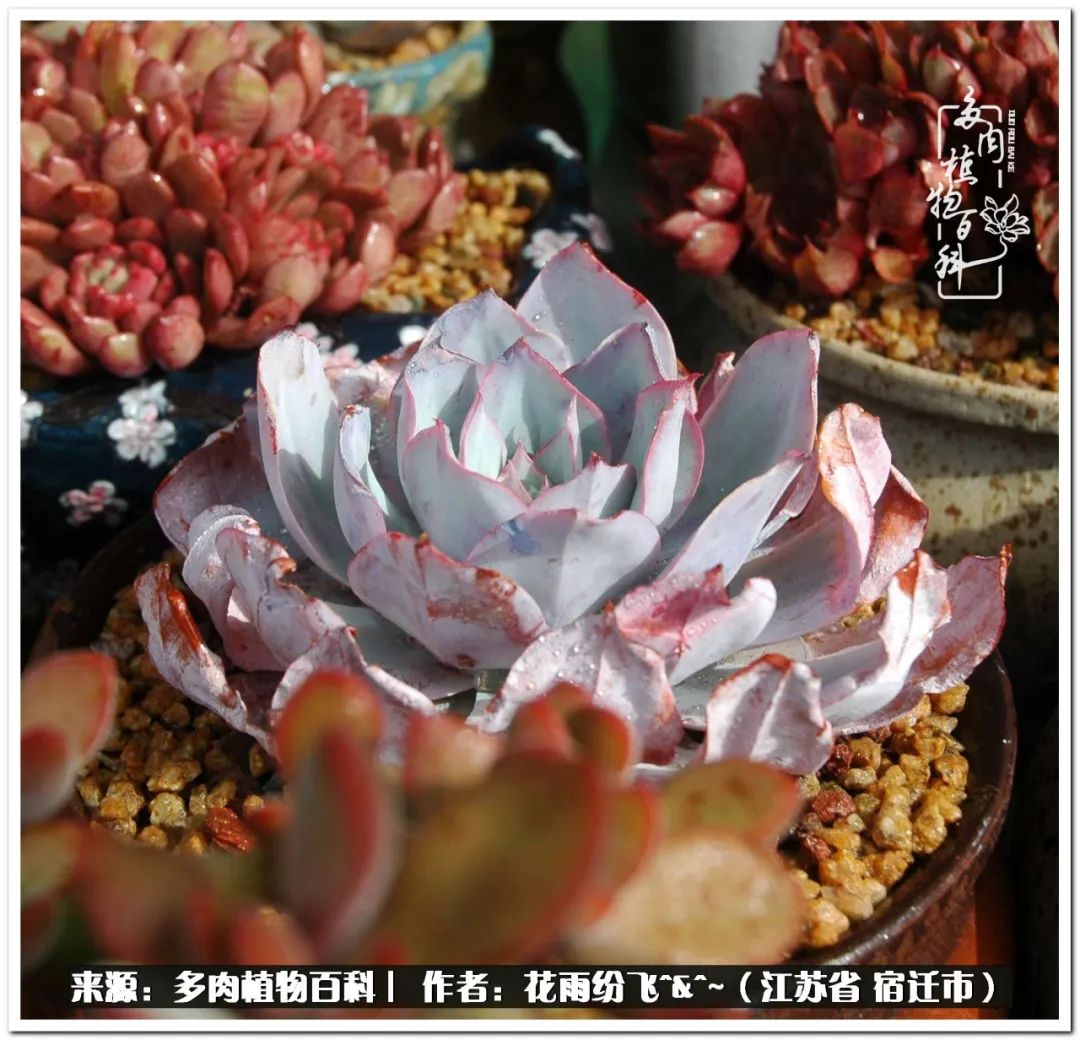 快乐的童年时光视频,回味快乐的童年美好的时光