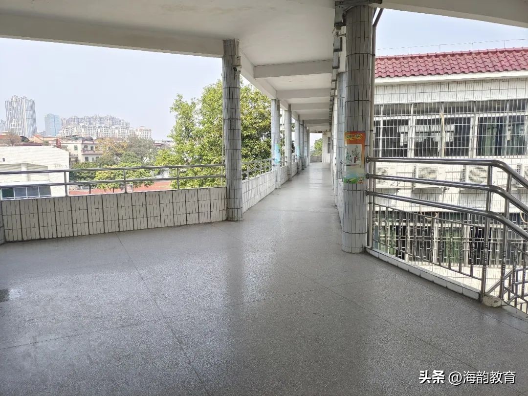 顺德数学之窗丨陈村南涌小学卢翠杭老师《图形分类》课例分享