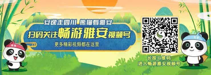雅安暑假游攻略最佳线路,雅安必玩