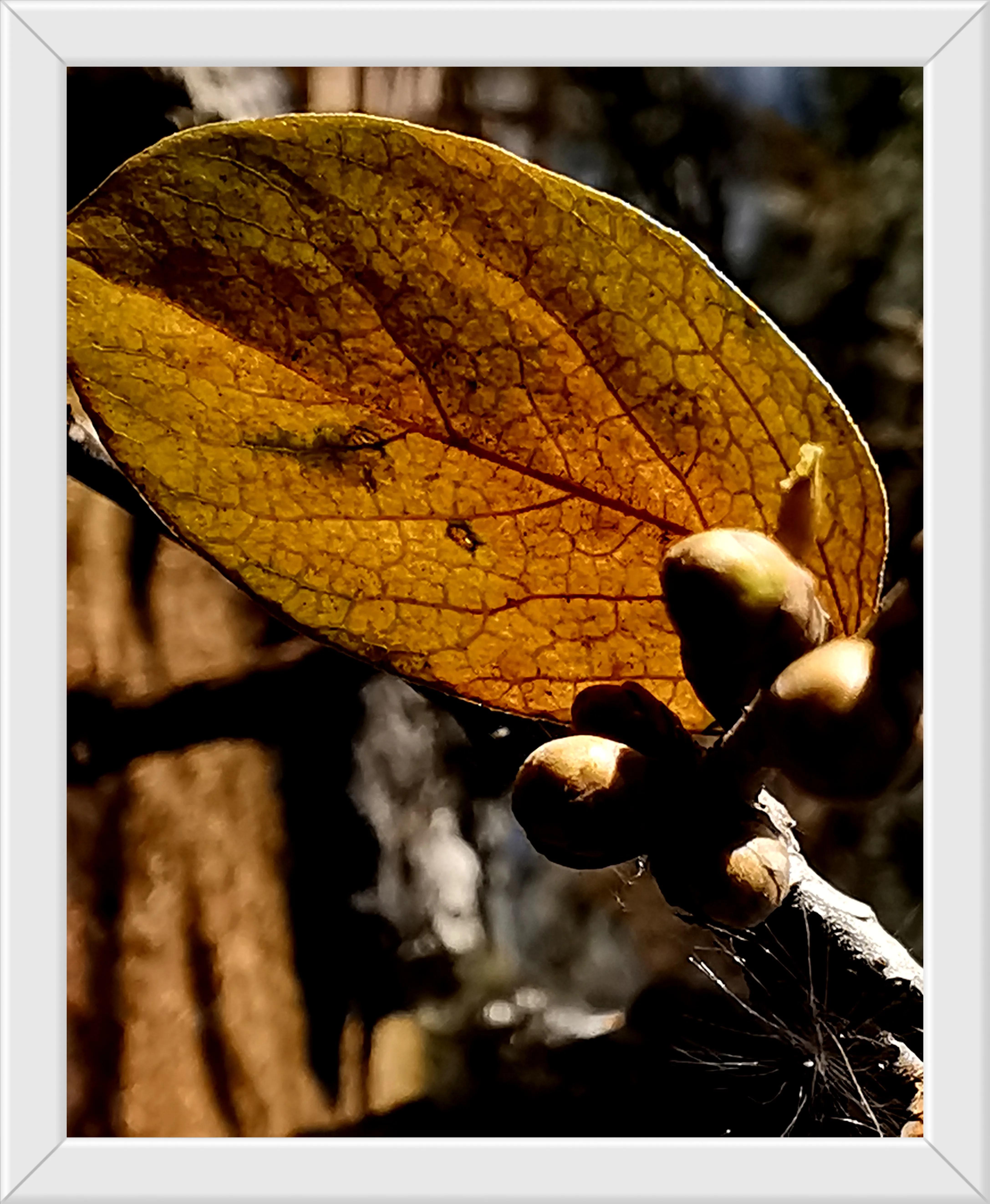 游玩趣乐,游玩陶然亭公园感受