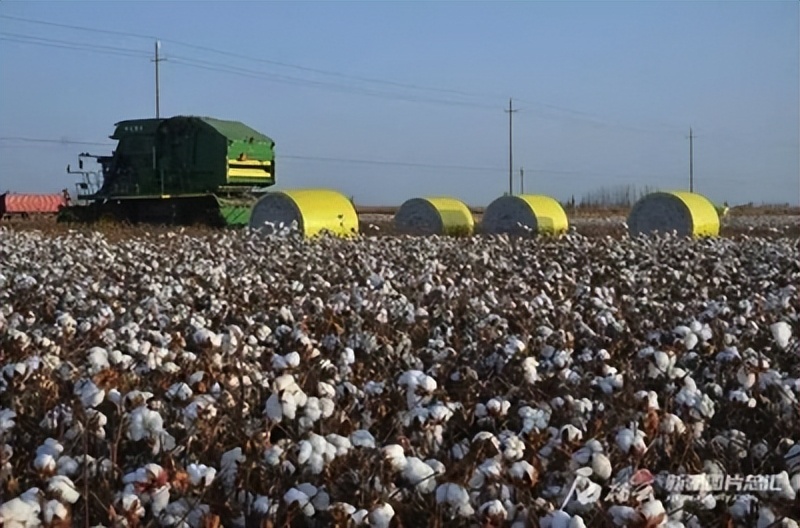 供销社将给农村带来什么变革,供销社在乡村振兴中的作用