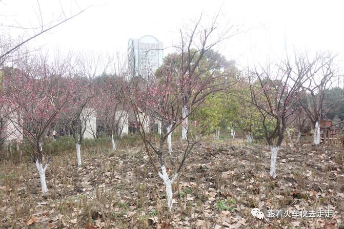 另一个方式看世界,鲁迅公园海边