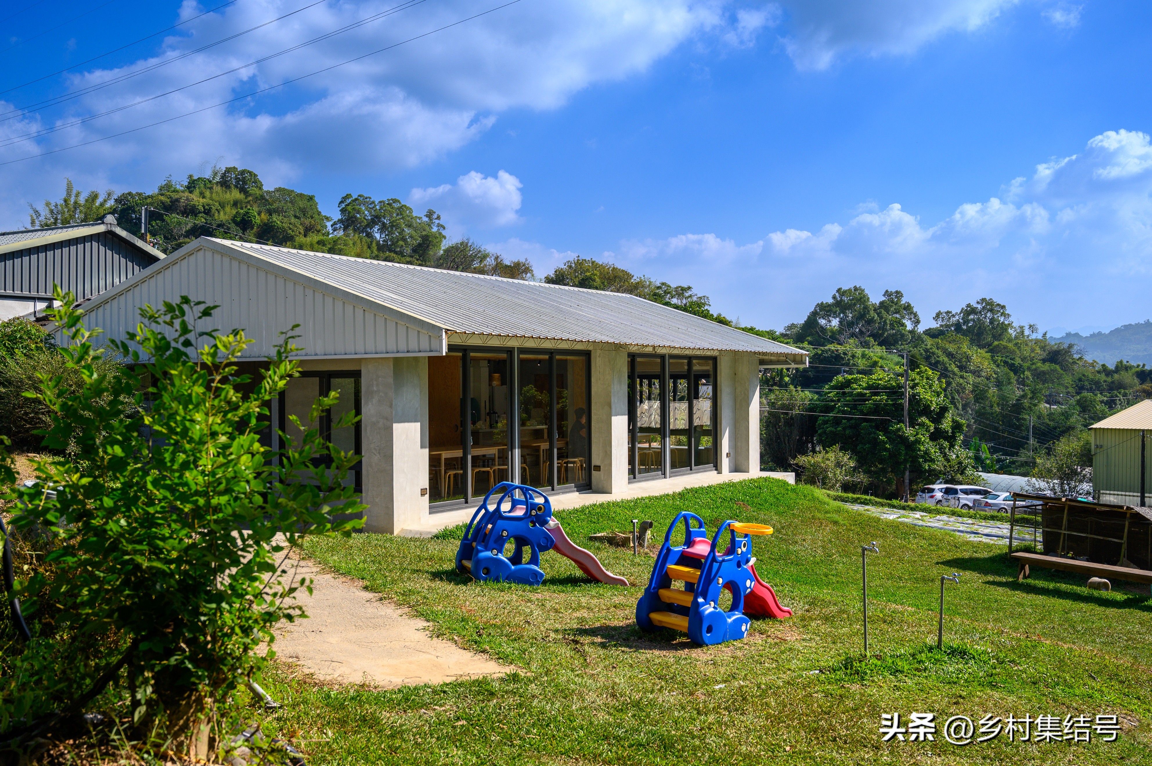 台湾小瓢虫农场,台湾小瓢虫