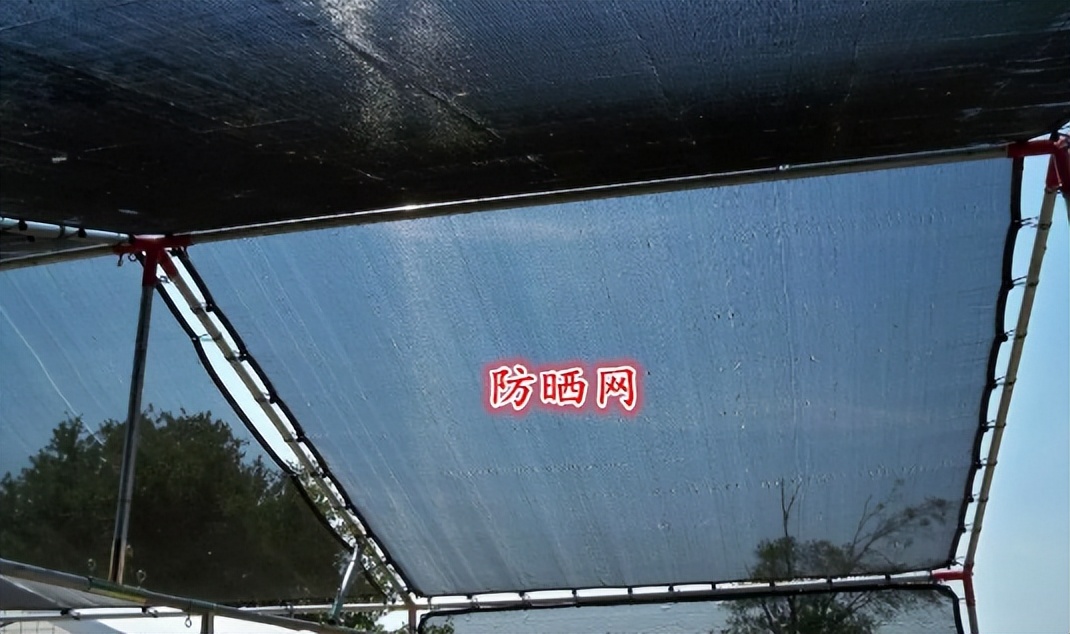 夏天顶楼隔热最好,夏天住顶楼怎么隔热500元搞定