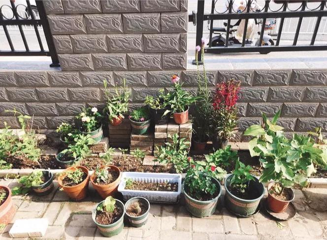 十大冷门副业赚钱项目排行第一,副业致富小项目视频