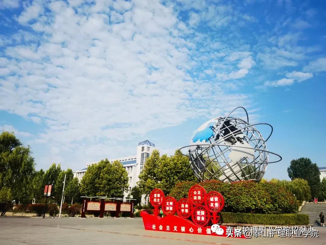 山东省2023年普通高考网上报名,山东省2023年高考选科要求