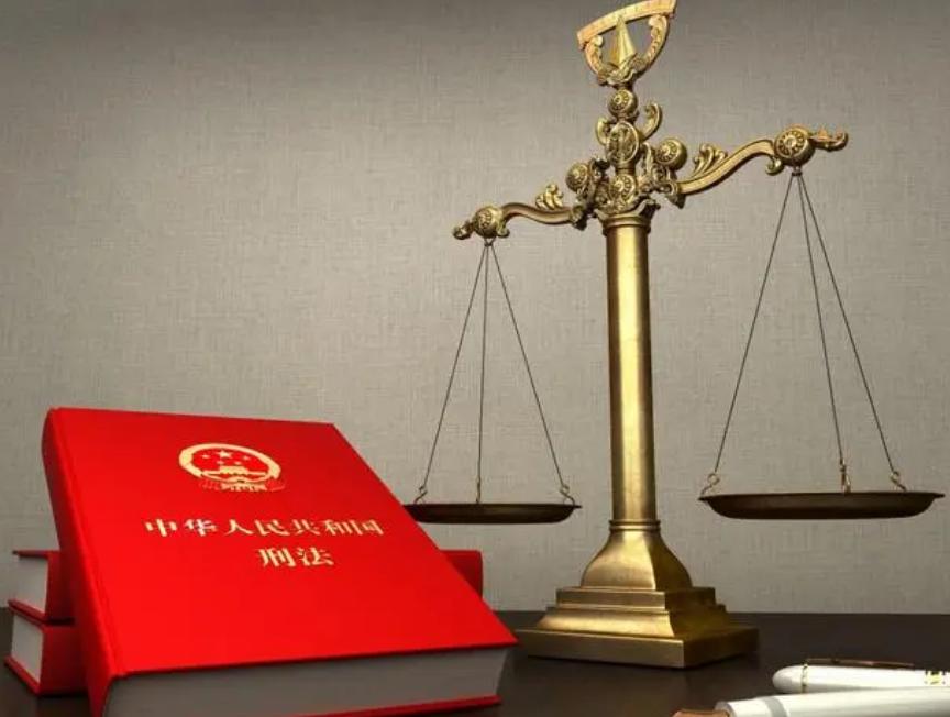 法律维护儿童权利的合法性原则,少年儿童法律保护的原则