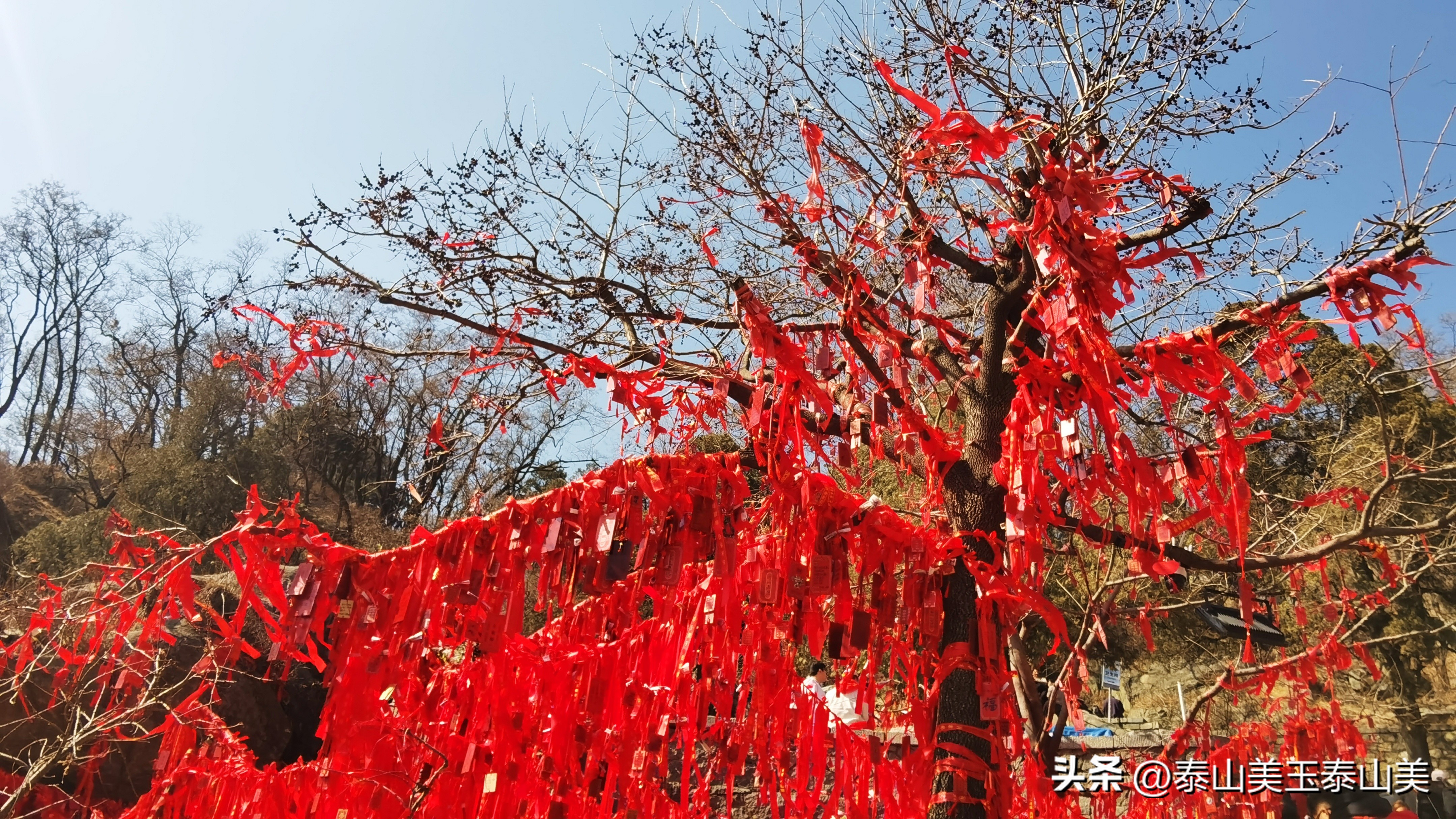 十八盘旅行,秋游十八盘