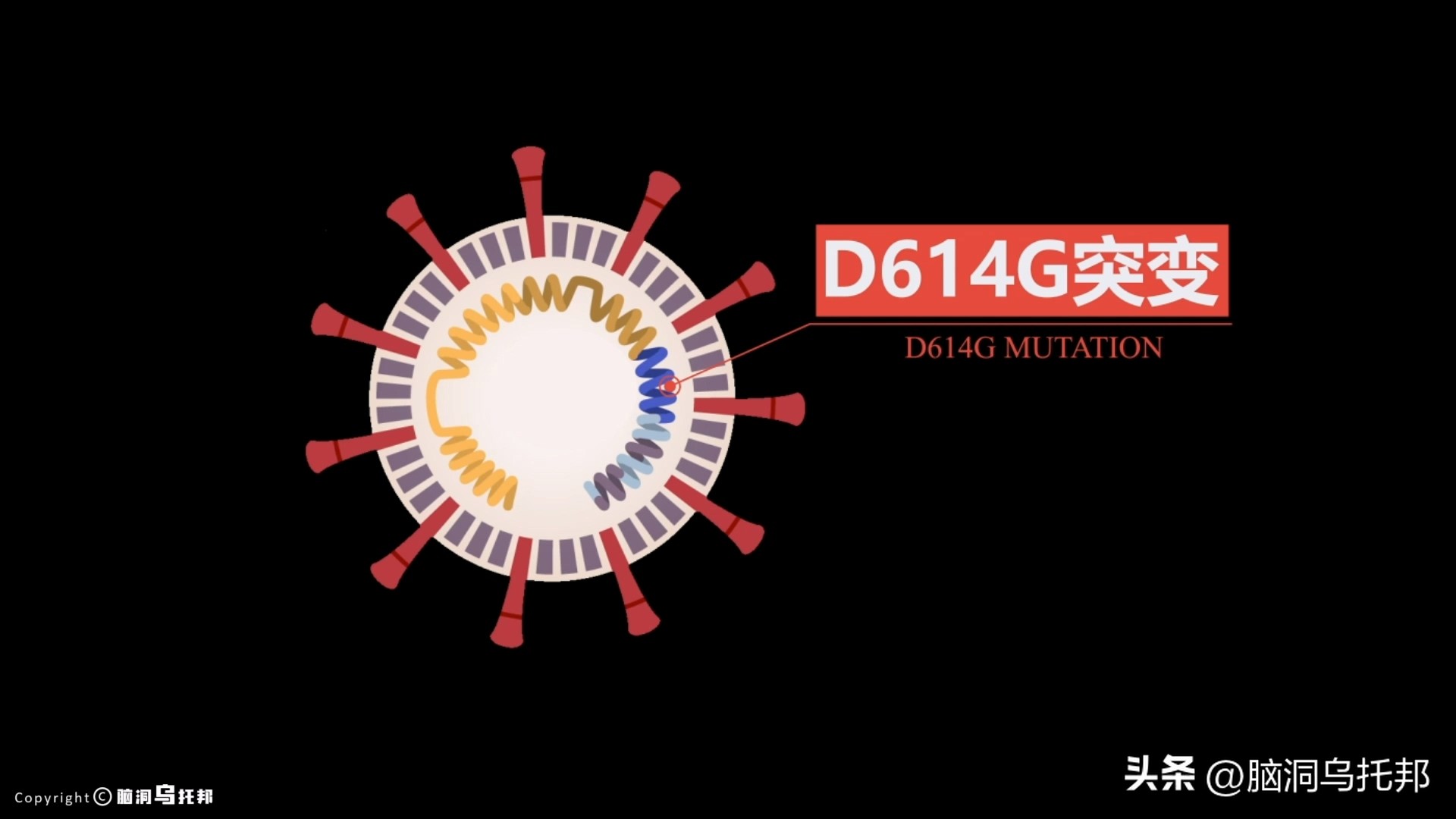 无症状感染是因为体质差吗,为什么有的人感染症状轻