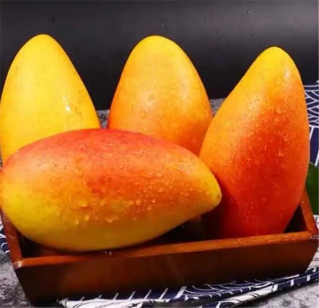 贵妃芒汶阳催熟,贵妃芒怎么判断是熟的