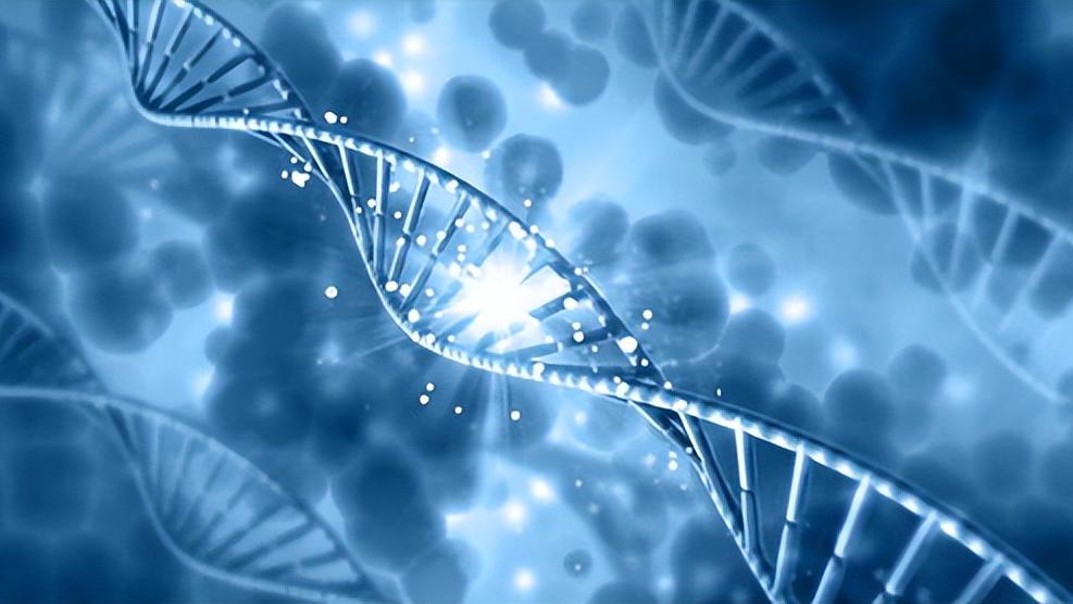 科普食物富含镁预防痴呆症,补充镁离子能预防老年痴呆吗