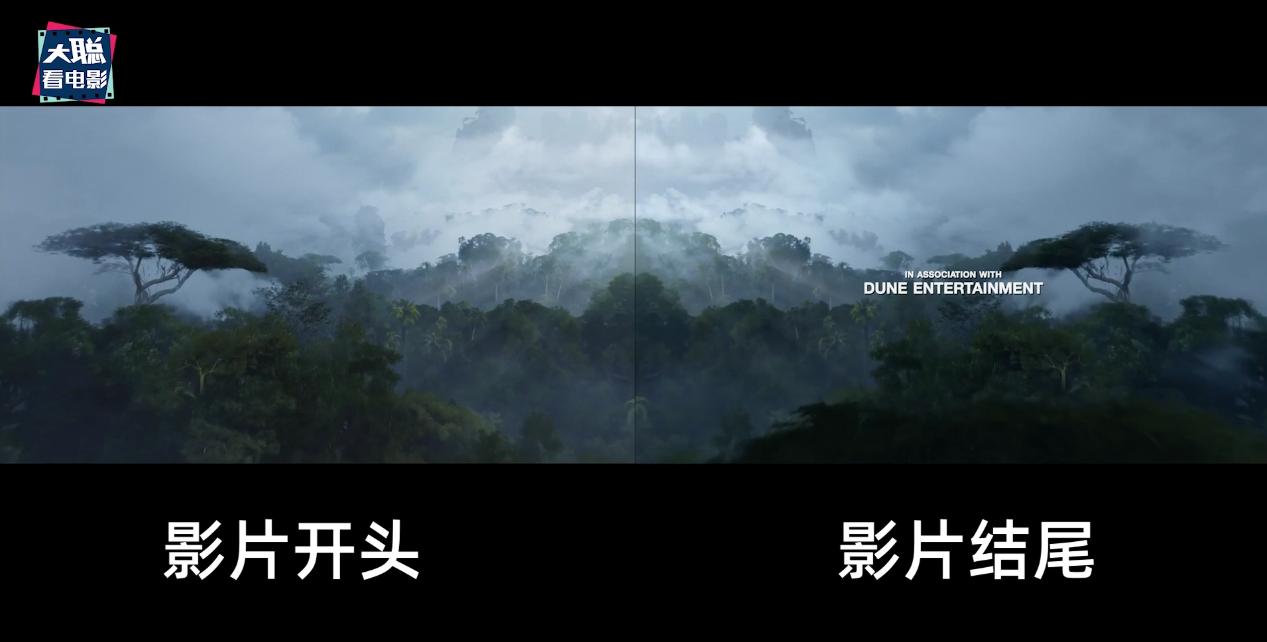 阿凡达解密,阿凡达2详细攻略大全