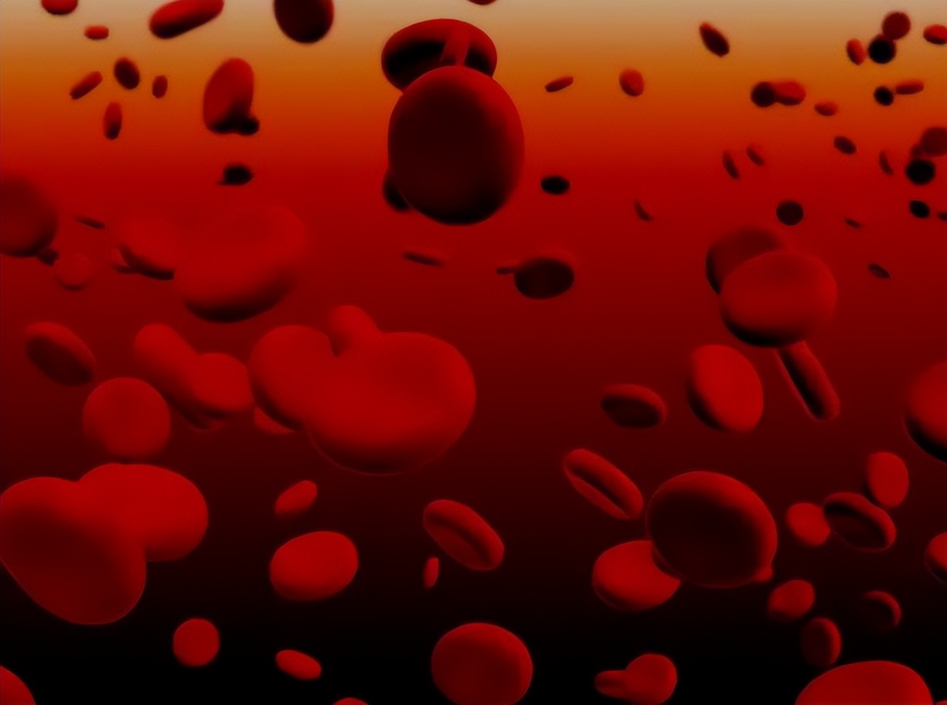 血常规哪些项目异常要警惕,血常规这几项异常一定要引起重视