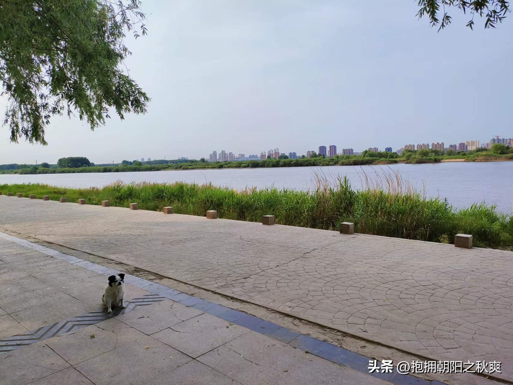 《哈达山传奇》——长篇小说连载（九十）作者曹文辉