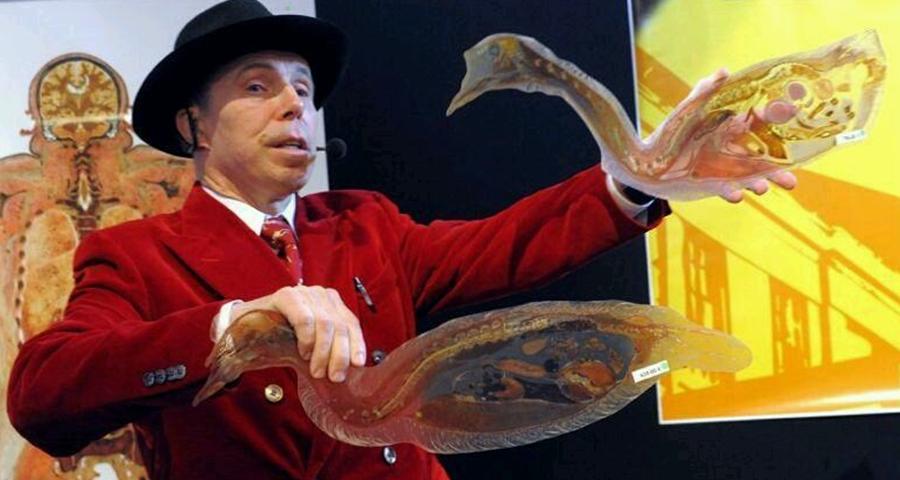 人体标本制作师王耀：一年制作50具标本，从业十几年，却依然恐惧