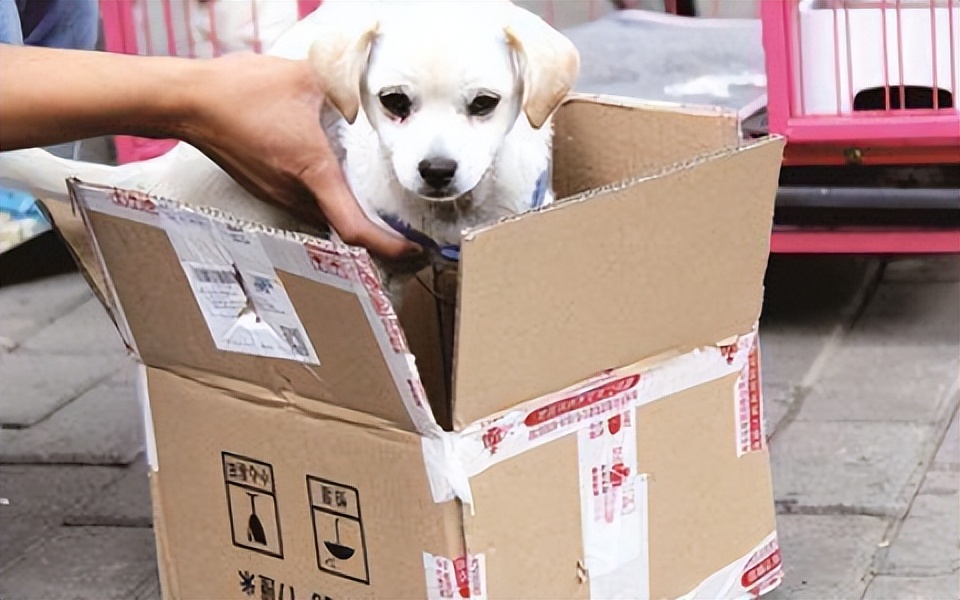 无锡市消费者权益保护法,法院消费者权益保护法亮点解读