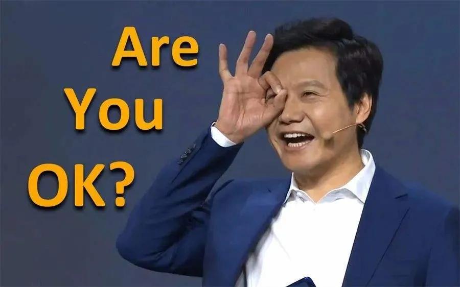 小米之家怎么加盟赚钱,加盟小米之家能赚钱吗