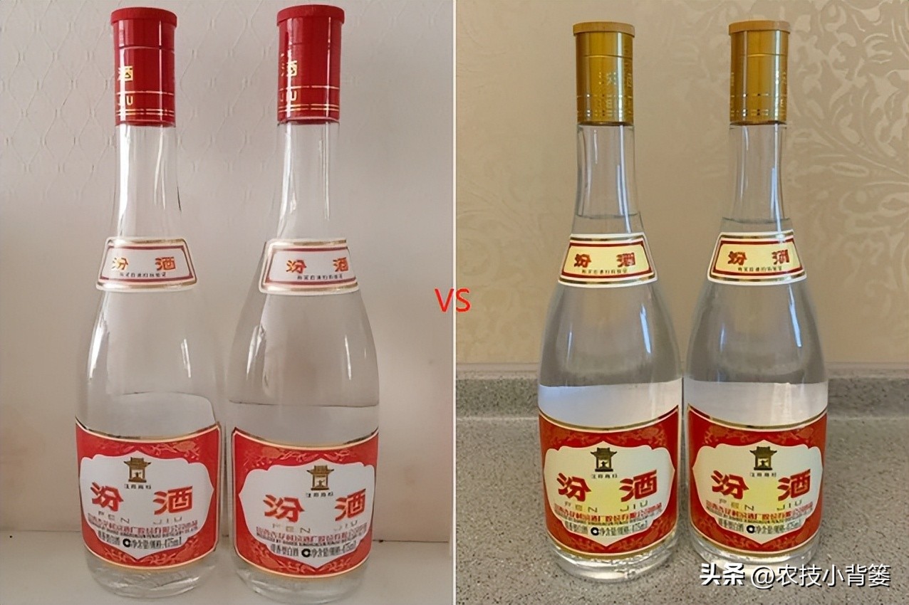 玻汾黄盖和红盖有啥区别,怎么区别黄盖玻汾