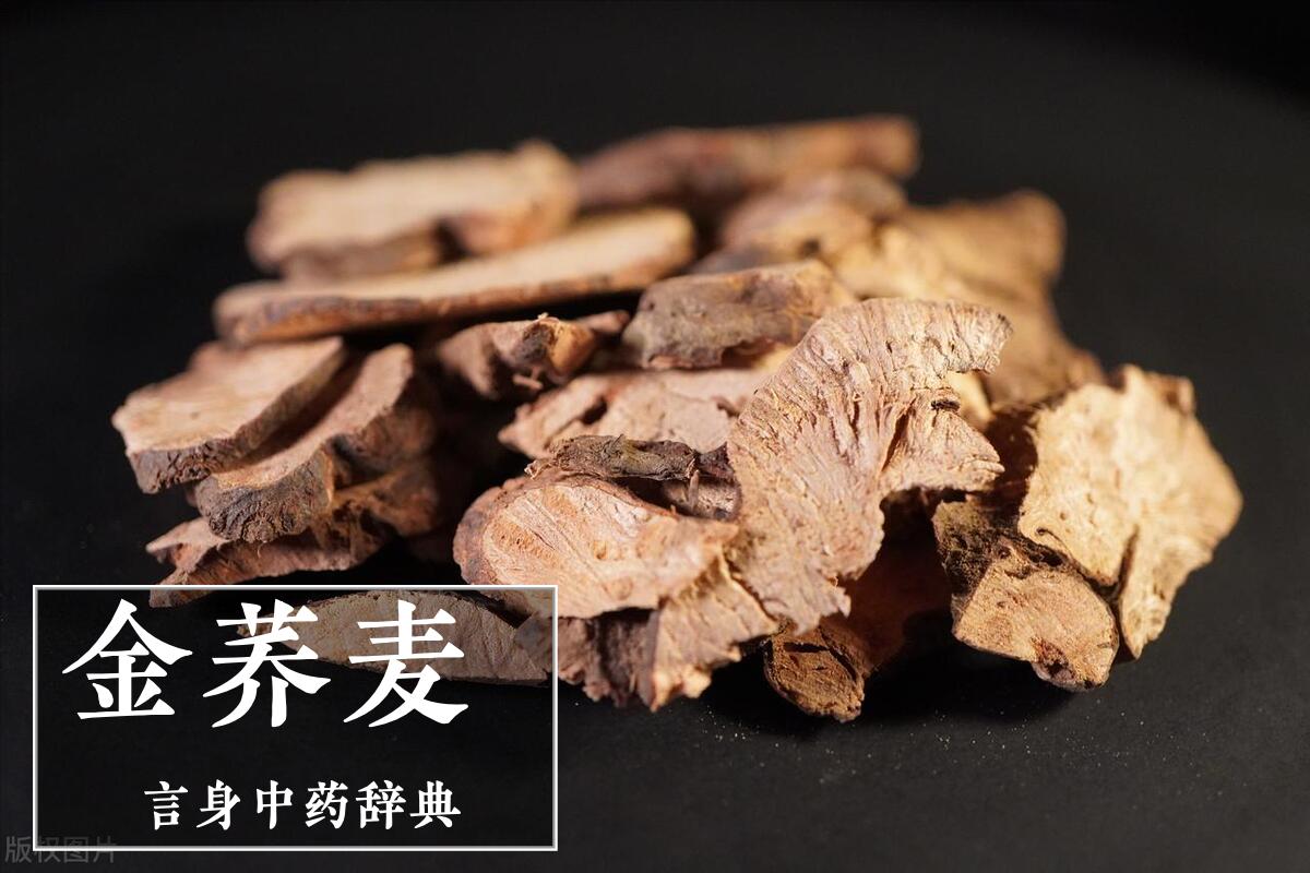 金荞麦是消炎药吗,金荞麦抗癌药