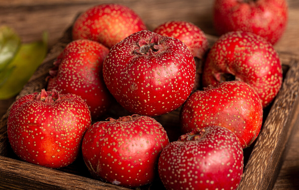 卵巢囊肿会不会死亡,卵巢囊肿需要陪护吗