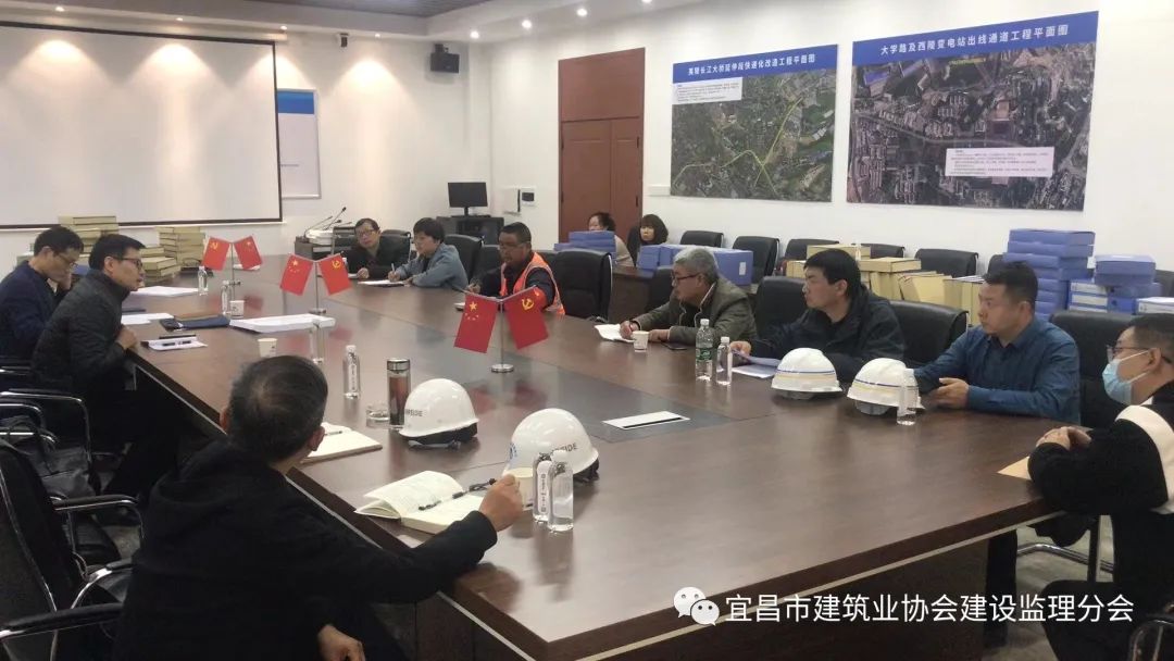 监理专项整治三年行动方案,监理专项巡视检查