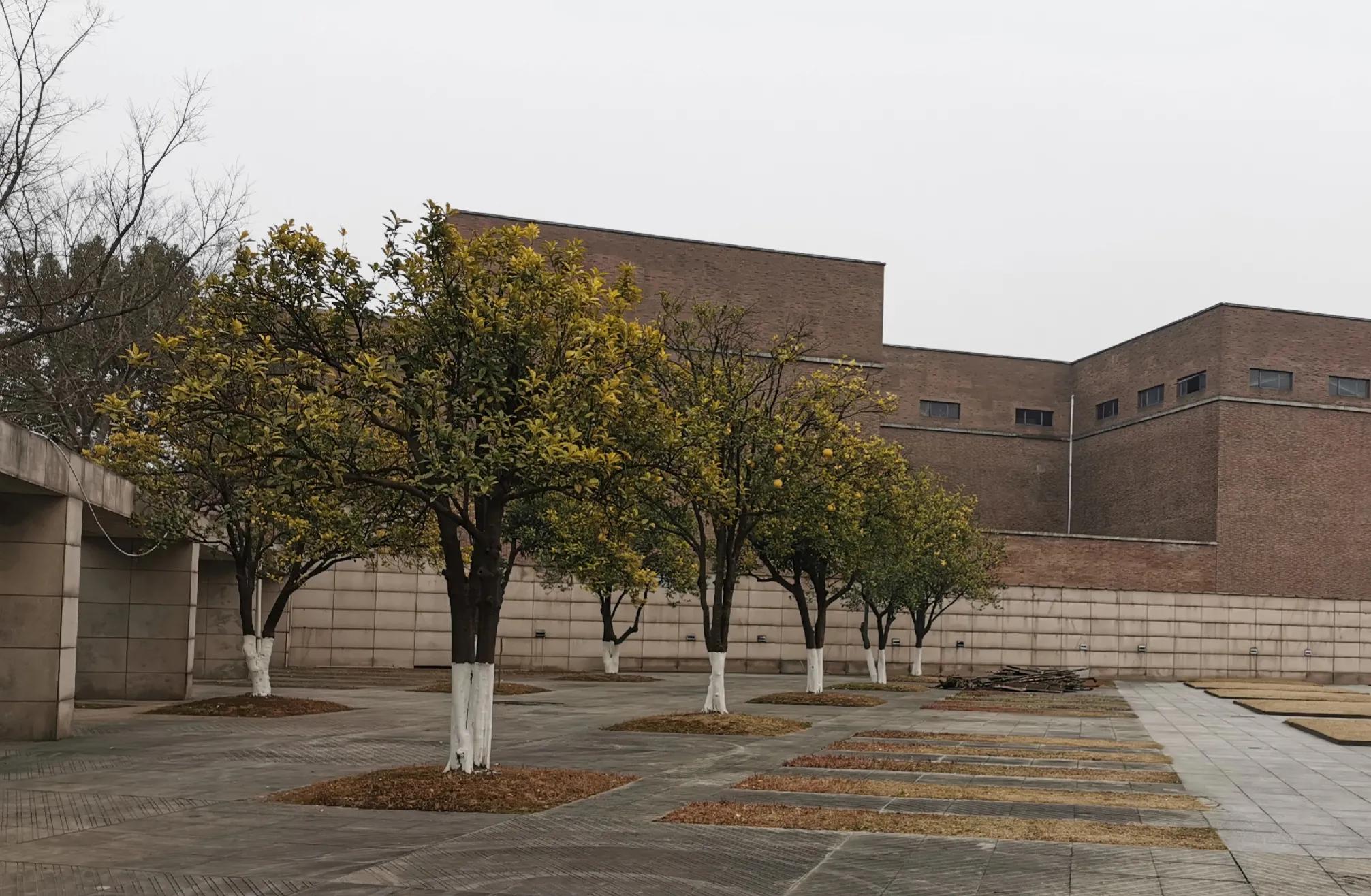 临近过年买衣服真的会便宜吗,临近过年买衣服