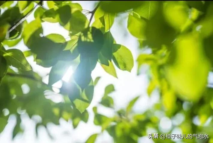 做手机兼职做任务赚钱,在家做手机兼职有哪些工作