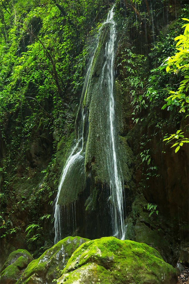 昆明旅行攻略免费景点推荐一日游,云南1至2天旅游推荐
