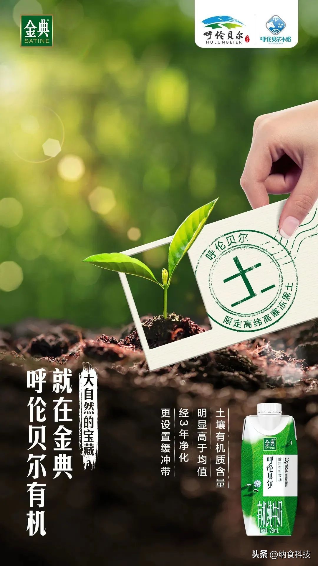 金典限定呼伦贝尔有机纯牛奶卖点,金典有机呼伦贝尔牛奶卖点