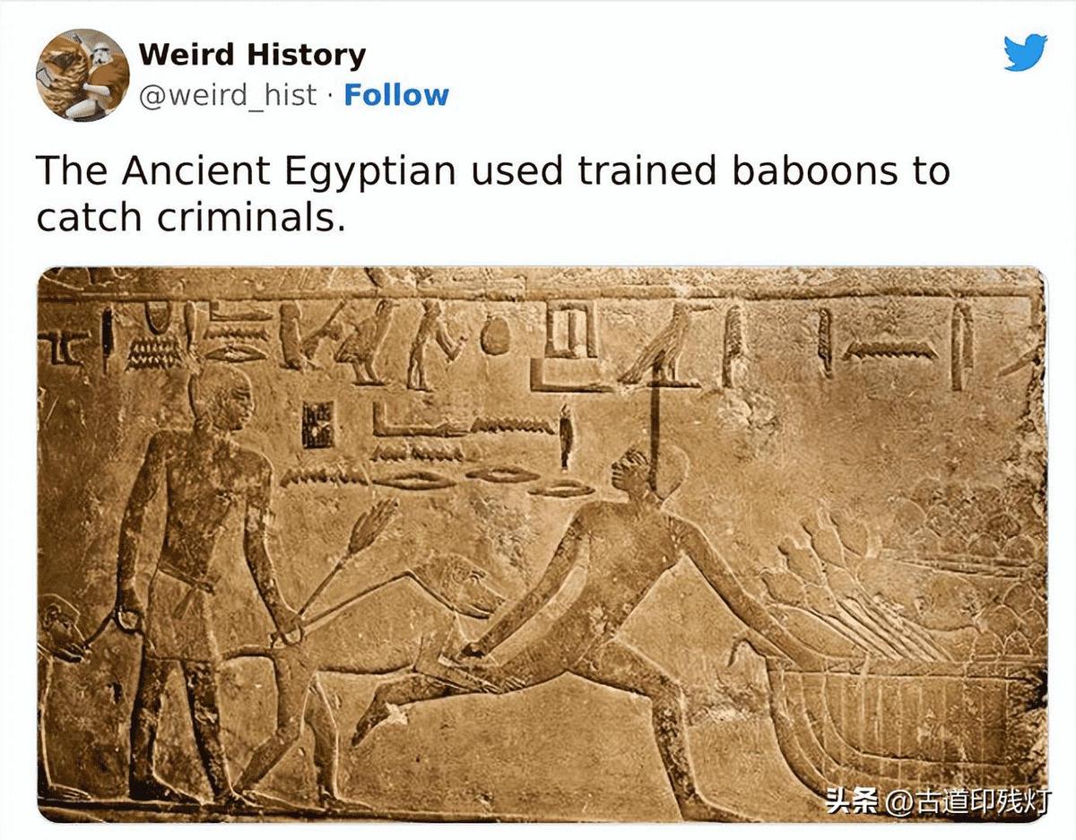 【晚清*楼青**旧影】女子丰乳肥臀，媚态撩人，风姿依旧！