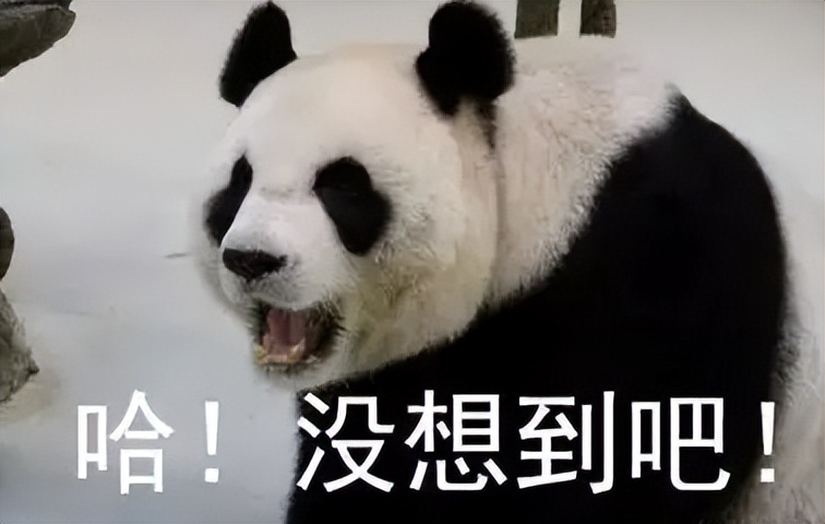 爱闻臭袜子致肺部感染,想闻臭袜子但怕感染怎么办