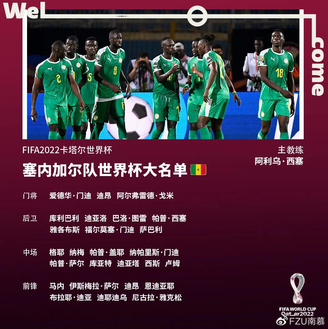 22届世界杯巴西队阵容,意大利22年世界杯阵容