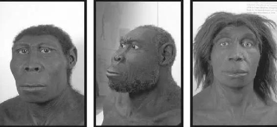 人类简史从动物到上帝读书心得,人类简史从动物到上帝阅读总结