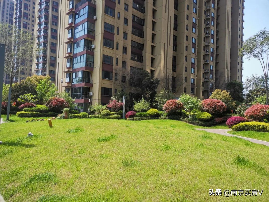 这啥小区啊，30天竟有339次带看