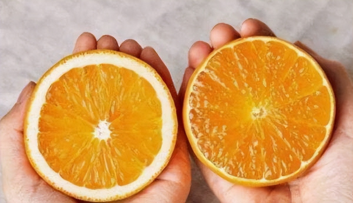 一个“橙子”卖出3500万，还是画出来的，专家：绘画界的单反相机