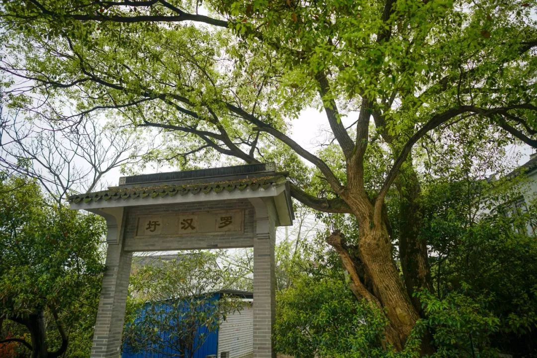 太湖西山岛旅游团建民宿,苏州西山岛一日游团建