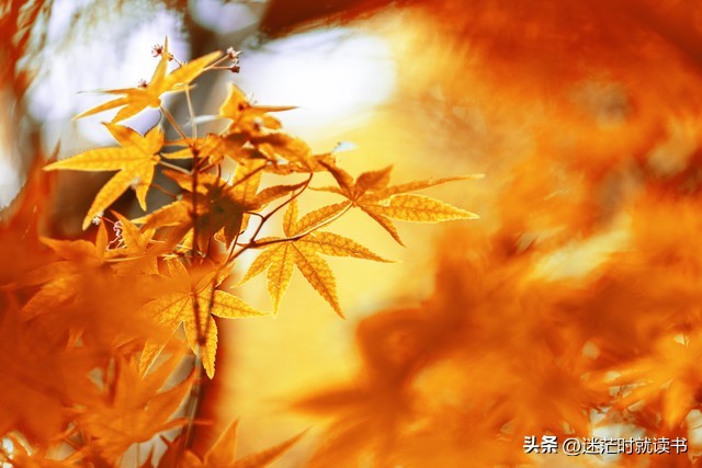 上班族日常消费行为,上班族5个赚钱技巧