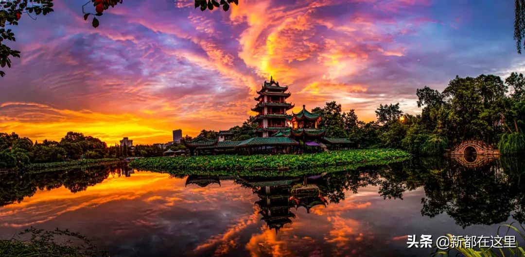 如果城市有颜色重庆,如果城市有颜色作文