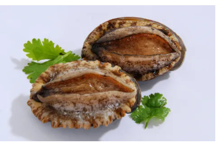 进口澳洲鲍,深圳进口海鲜清关报关操作流程